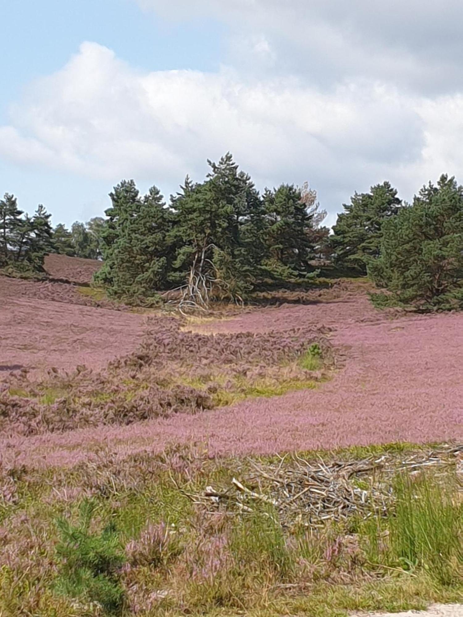 Likehome Suite Buchholz in der Nordheide Bagian luar foto